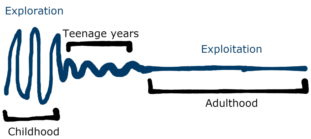 The Standard Pattern for dealing with the Exploration-Exploitation Dilemma